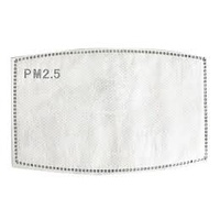 Reusable Mask Filters PM 2.5 Pack of 5