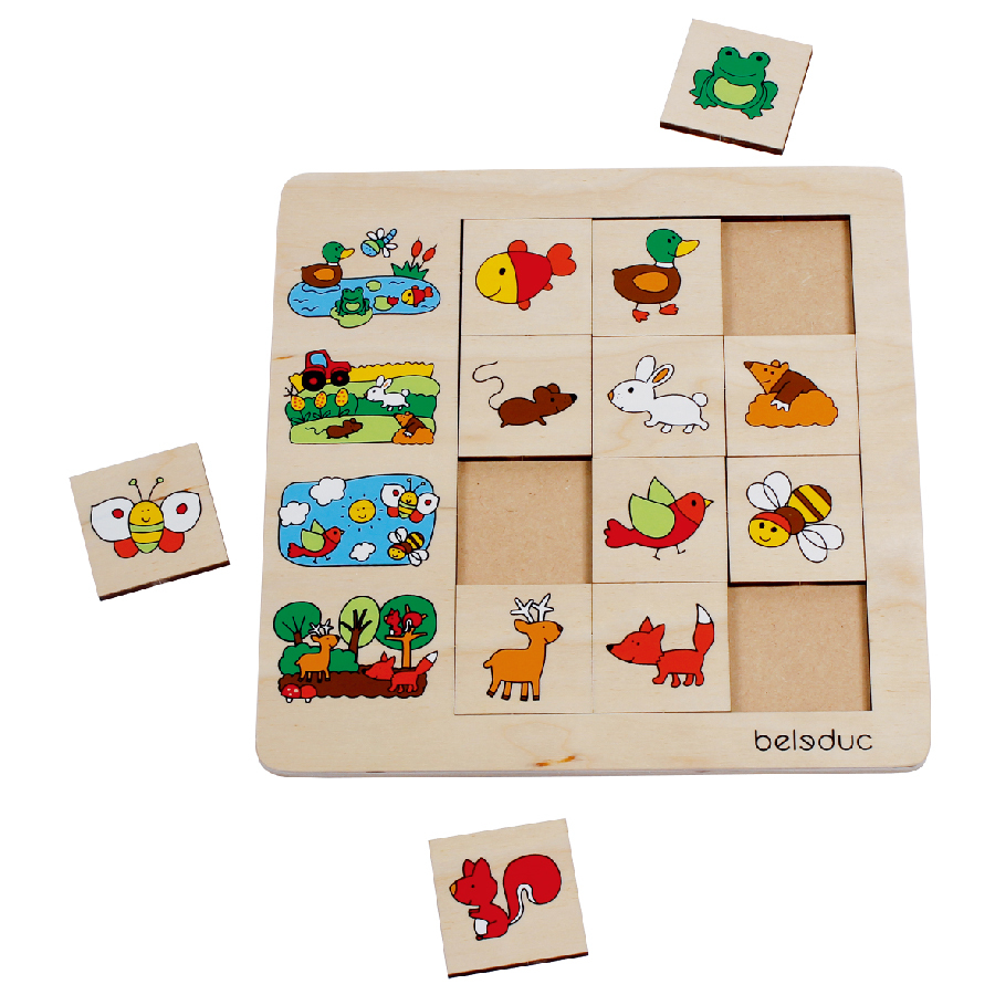 Beleduc Sorting Game - Environment (Age 2-6)