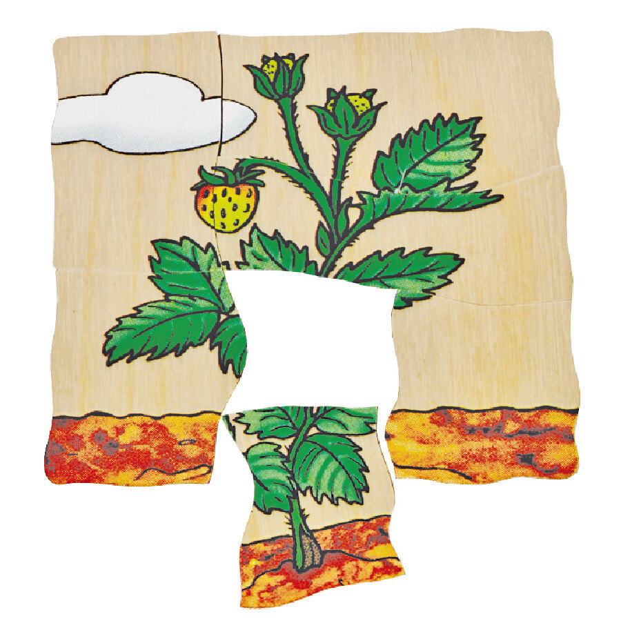 Beleduc Multilayer Wooden Puzzle - Strawberry (Age 4-6)