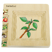 Beleduc Multilayer Wooden Puzzle - Apple (Age 4-6)