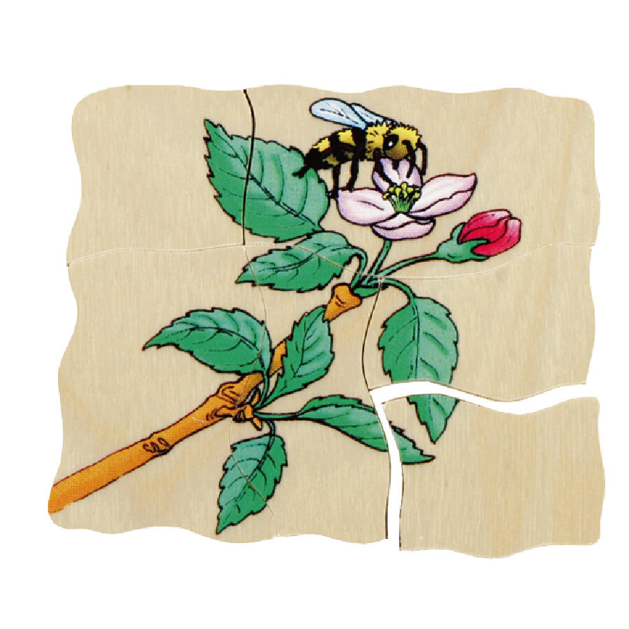 Beleduc Multilayer Wooden Puzzle - Apple (Age 4-6)