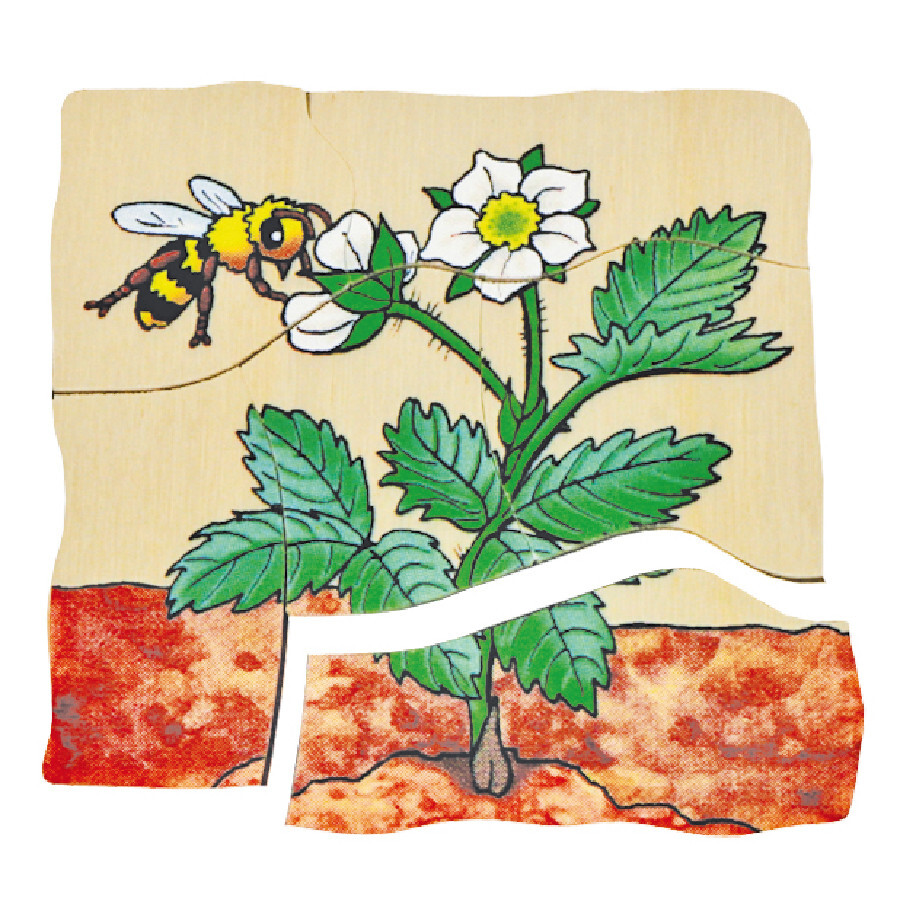 Beleduc Multilayer Wooden Puzzle - Strawberry (Age 4-6)