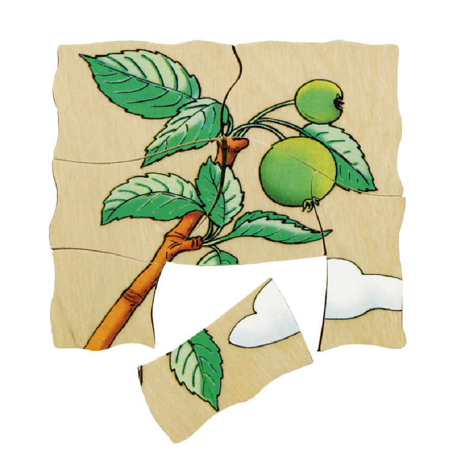 Beleduc Multilayer Wooden Puzzle - Apple (Age 4-6)