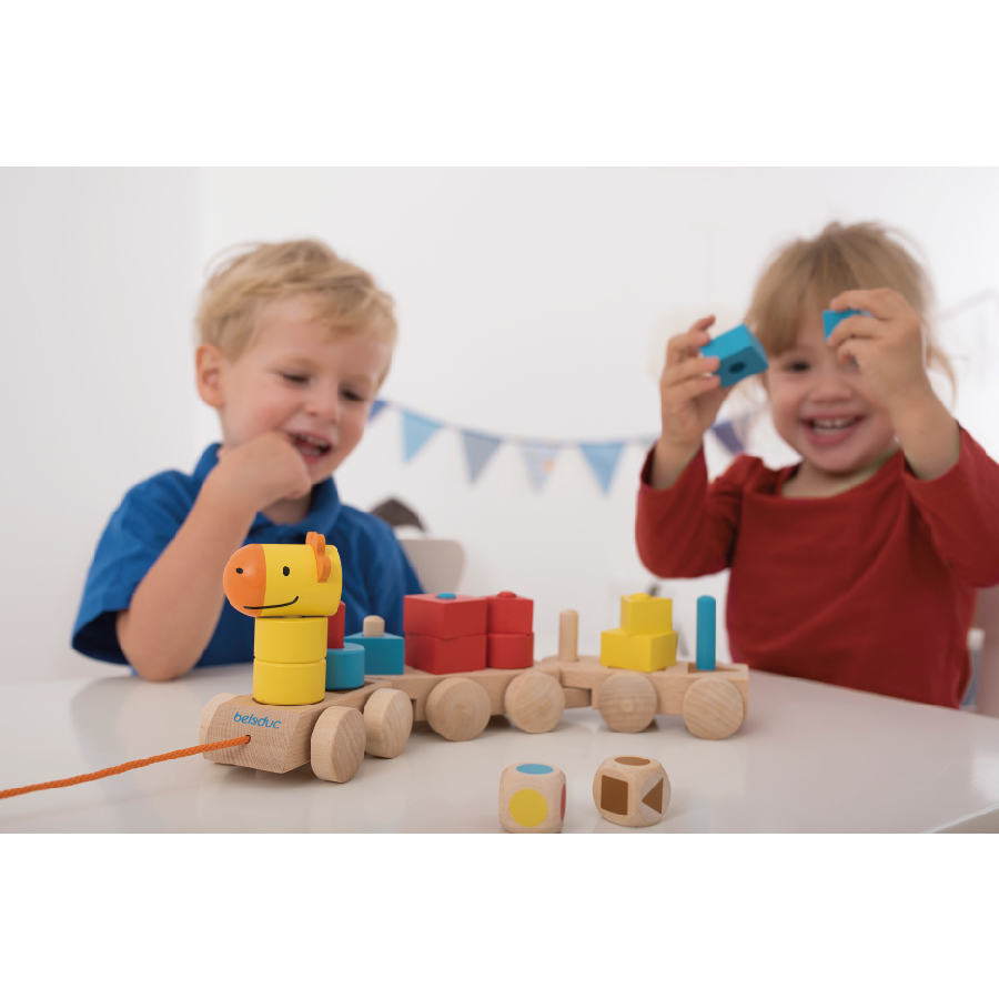 Beleduc Shapy Train (Age 0-4)