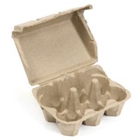 Jasart 6 Hold Egg Tray Pack of 24