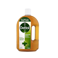 Dettol Antibacterial Solution 750mL