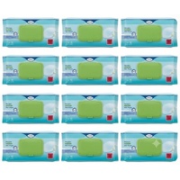 TENA ProSkin Plastic Free Wet Wipes XL Size 30×20cm (12x80) Carton of 960
