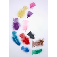 Feathers Tropical 20g