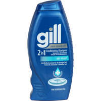 Gill  2 IN 1 Anti Dandruff Conditioning Shampoo Dry Scalp 400mL