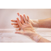 Planet Care Biodegradable Gloves Large 100's 