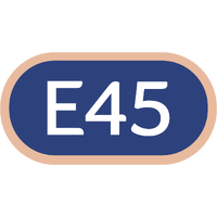 E45